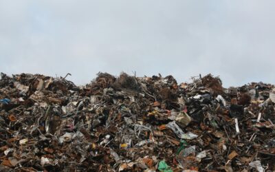 Bonifica ambientale ad Osimo: un case study di successo tra efficienza e sostenibilità
